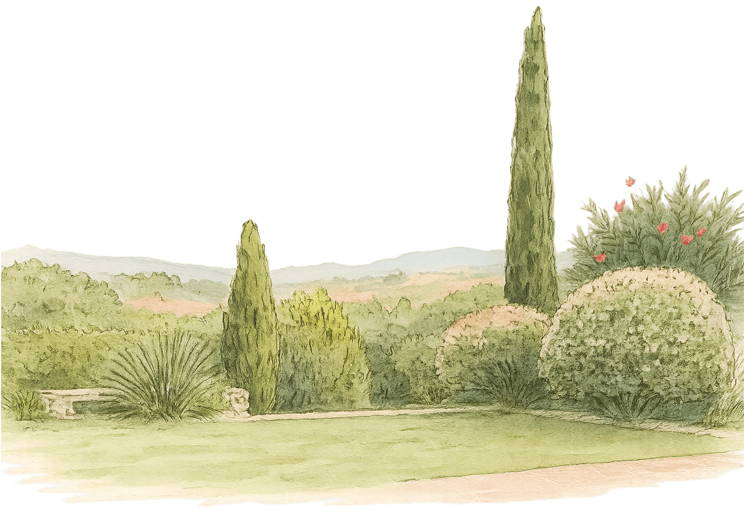 Fondo arboles invitacion de boda